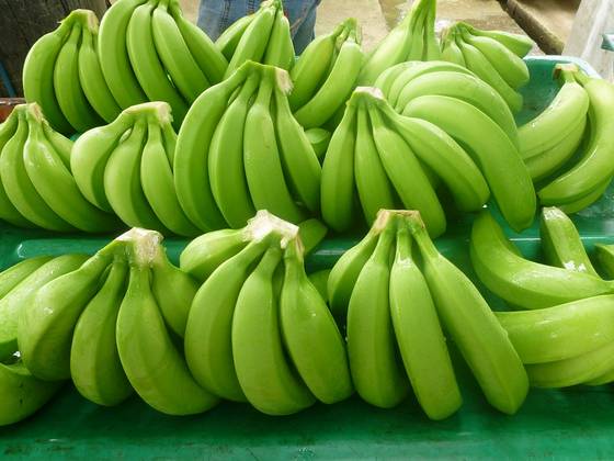 Fresh-Green banana