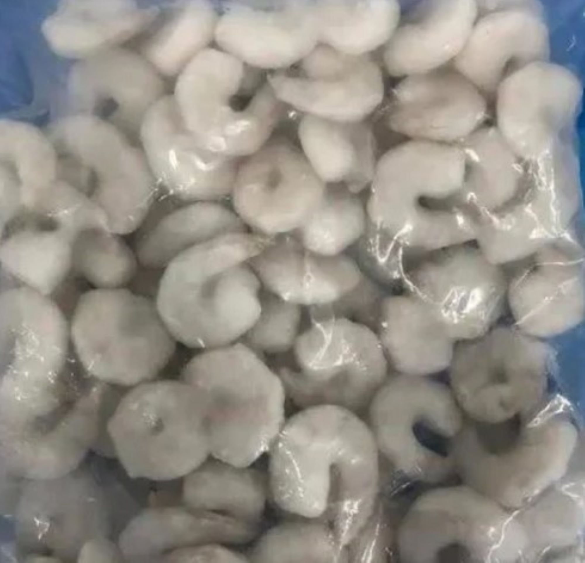 21-25 frozen shrimps.jpg1 21-25 frozen shrimps.jpg1
