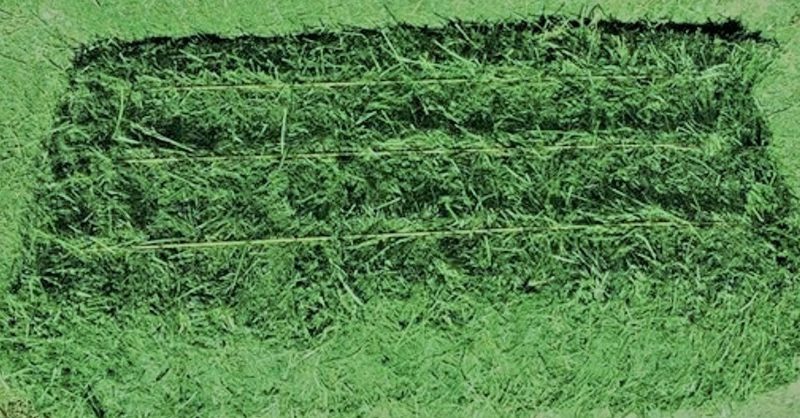 Alfalfa-Hay-36