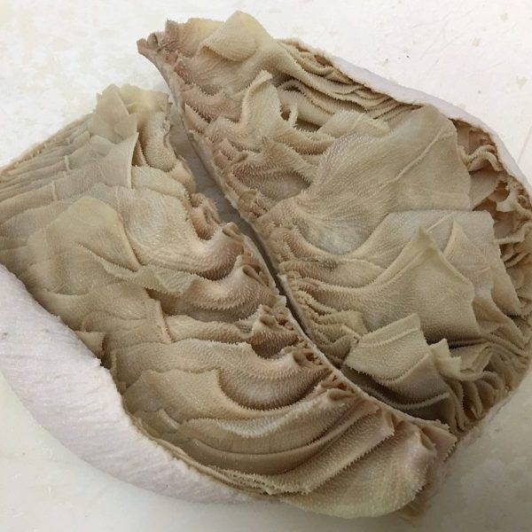 Frozen-Beef-Omasum