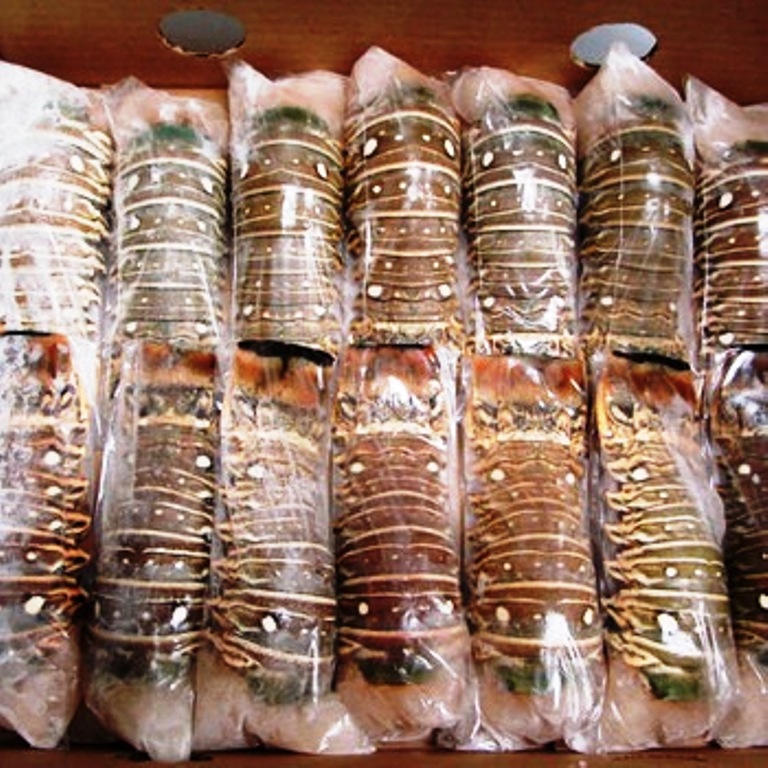Frozen-Spiny-Lobster-Tails
