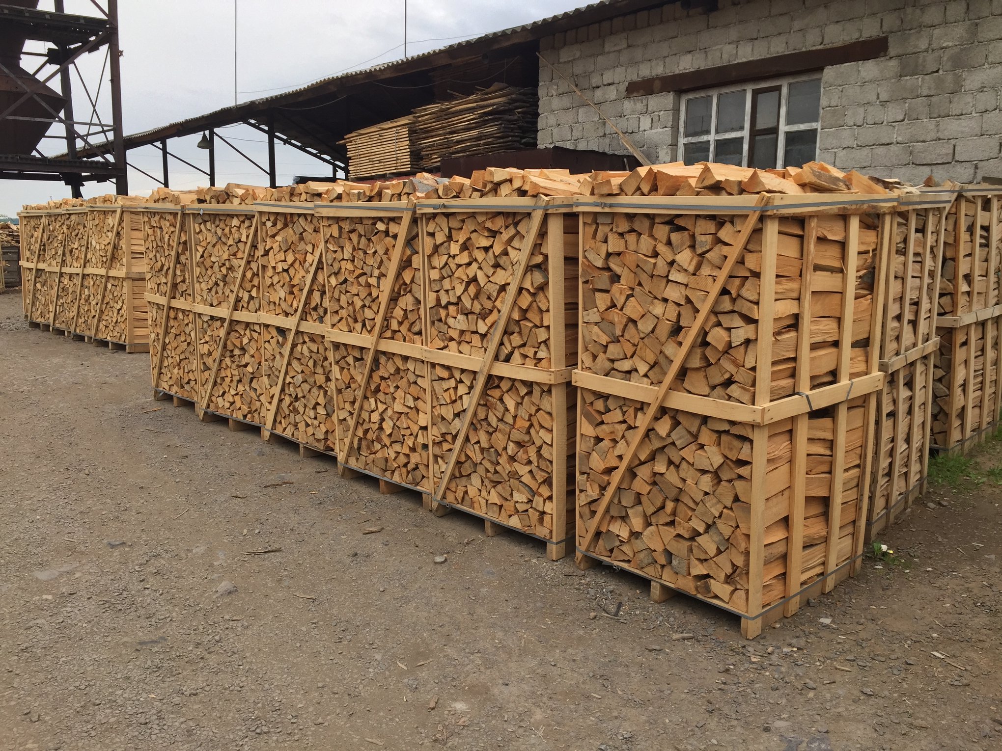 beech firewood