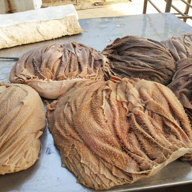 beef-tripe-omasum6