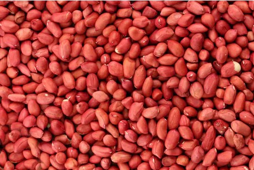 red peanut red peanut