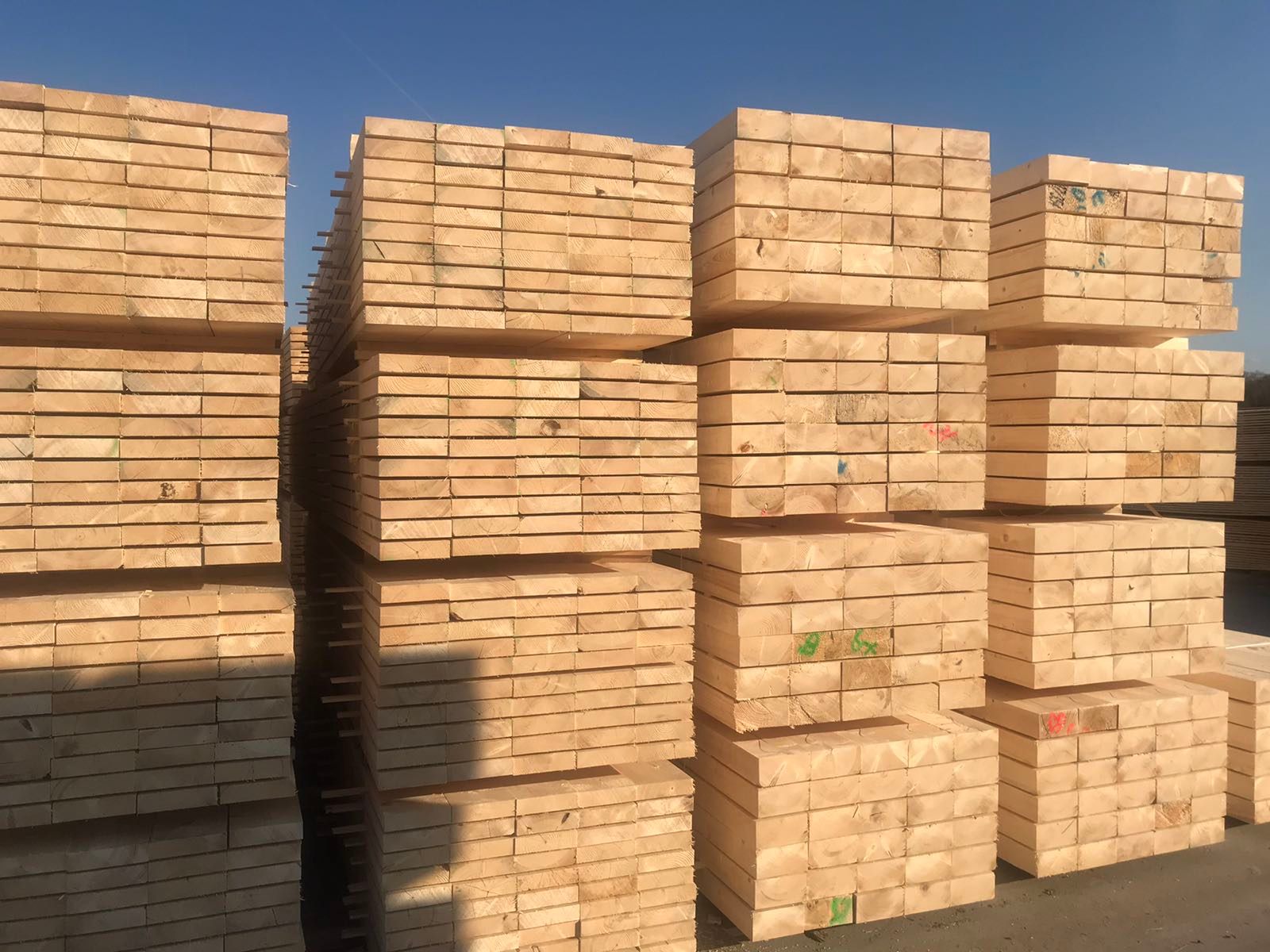 sawn wood lumber 1 sawn wood lumber 1