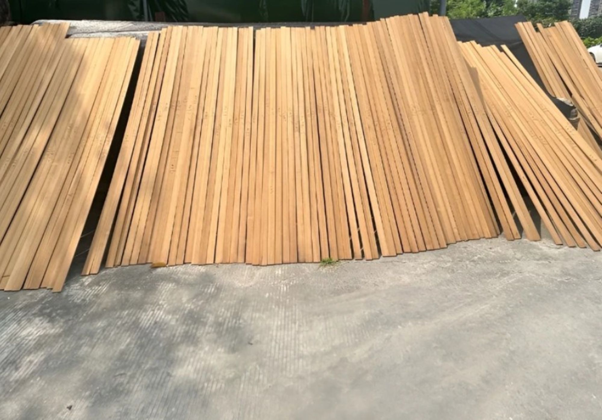 burma teak11